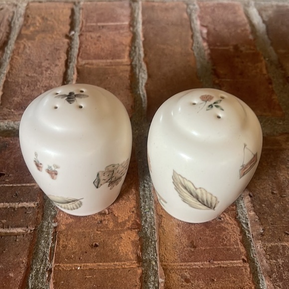 Pfaltzgraff Naturewood Salt & Pepper Shakers - Picture 2 of 4